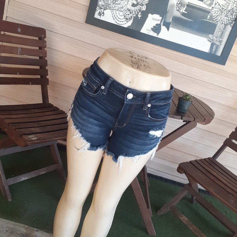 American Eagle Next Level Stretch Distressed Short